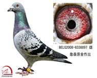 ղɭ롰9ˡš