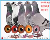 2013������̫����������ھ���