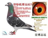 ɱӡ827