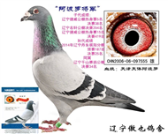 ޽
