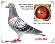 罿޶*7