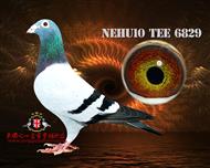ȷչ6829