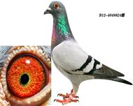 .ʷġ׺šֱ