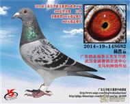 㶫칫13