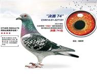 2014걱850074
