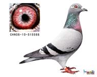 Ҽҵ588