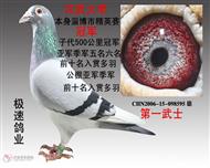 һʿ  ȫת