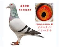 ţ215ֱŮ漣Ů漣32ֱŮ