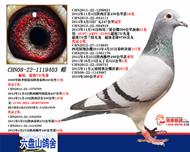 73/ 1119403
