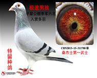 ��һ��ʿ����ת�á�