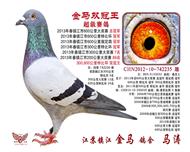 ˫