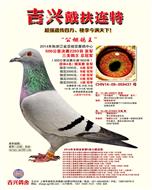 �������ظ����ܹھ�����������