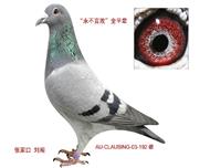 192