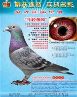 �������ء�������ס�