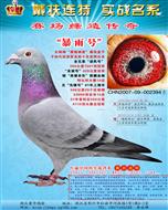 �������ֱ�ӡ����ꡱ��