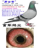 ʿš