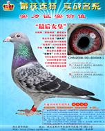 �������ء����Ů�ʡ�