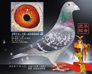 ȫǧ׸ȫ