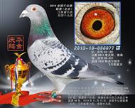 2014ȫǧ
