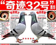 ֲ漣32ų