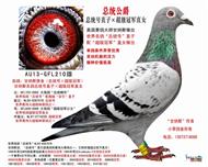 ����˹(ԭ��) ��ͳ��ֱ�ӡ������ھ�ֱŮ