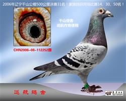 06������ǧɽ�������31��