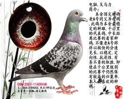 �г�����֮��.������ƪ