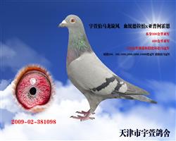 沮  Ϲ