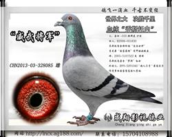 佫˹ڡ