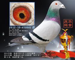 2014ͨ50013