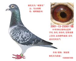 617Ӣš