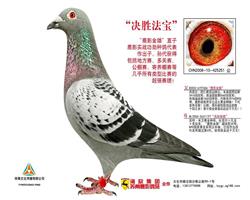 游