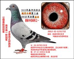 �ֲ����漣32-8