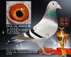 2014ͨг紨ظ