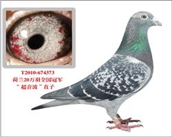 20ھֱ