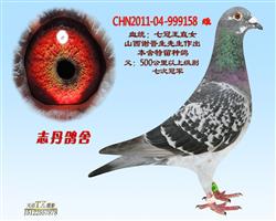 CHN2011-04-999158 