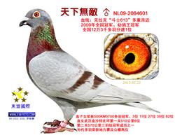 ޵С(ȫھ/׸ھ)