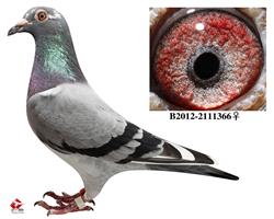 С״ơ2012׹ܹھ