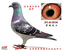 ھӮ200