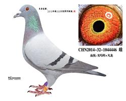 ĸ023ֱŮ