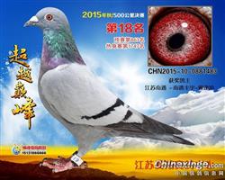 2015ݰ񽱸