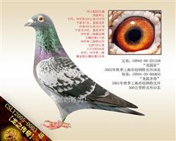 ֮桿ظ֮