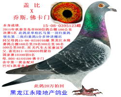 .BOBŸ빫.ھ