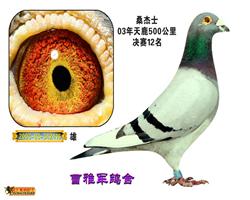ɣʿ