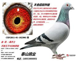 x罿