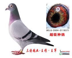 øҵ-ִ8371