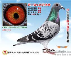 ���ǡ����ظ����ܹھ�