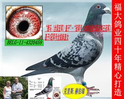 ȫǾֱӡ-ھţKB