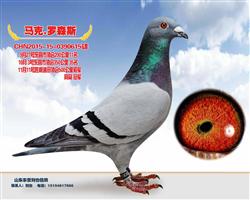 ������ɭ˹