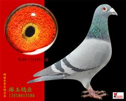 NPOšƽۡ۳